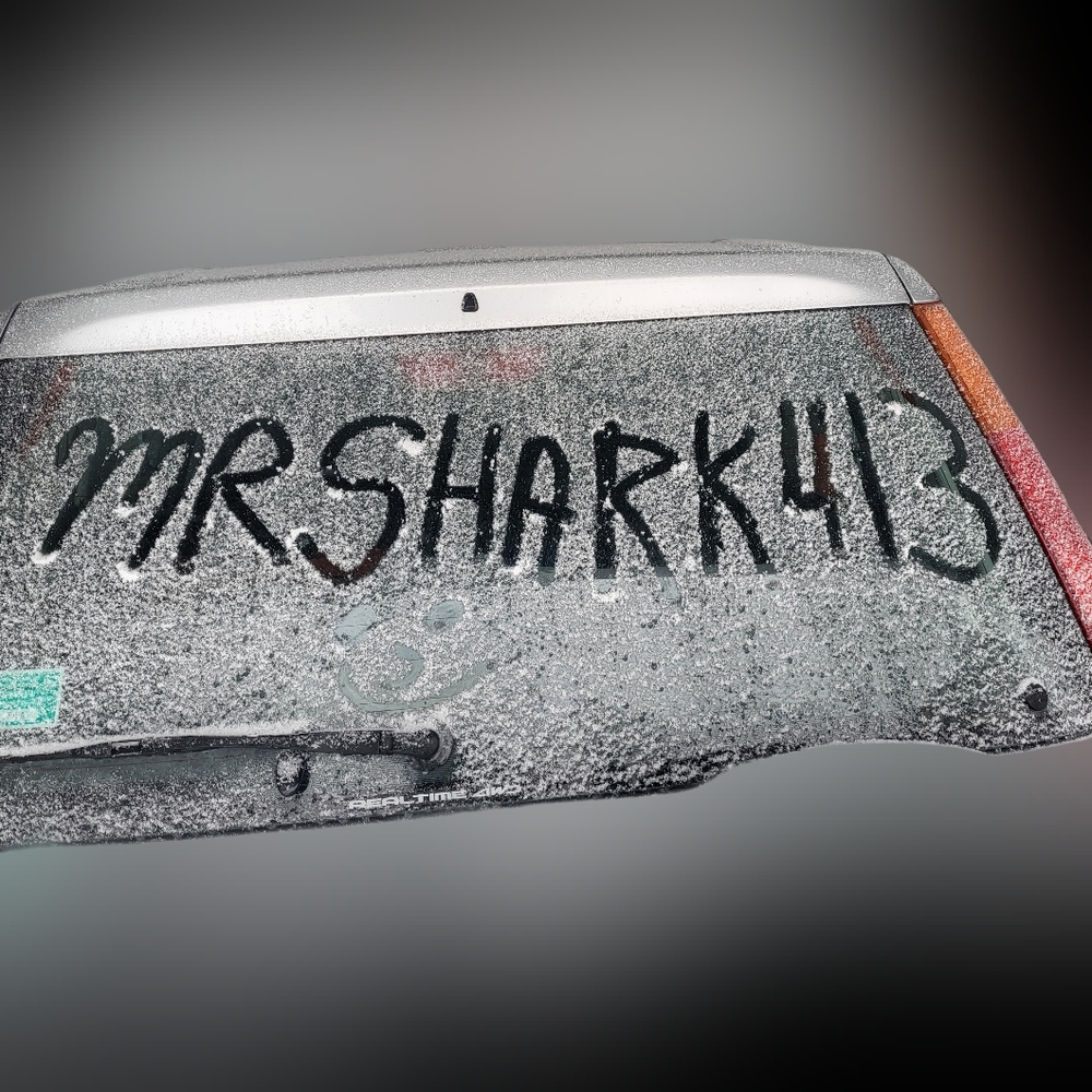🦈Shark! Live!🙂 - Picture 12 of 16